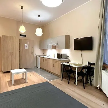 Spacious Studio-2